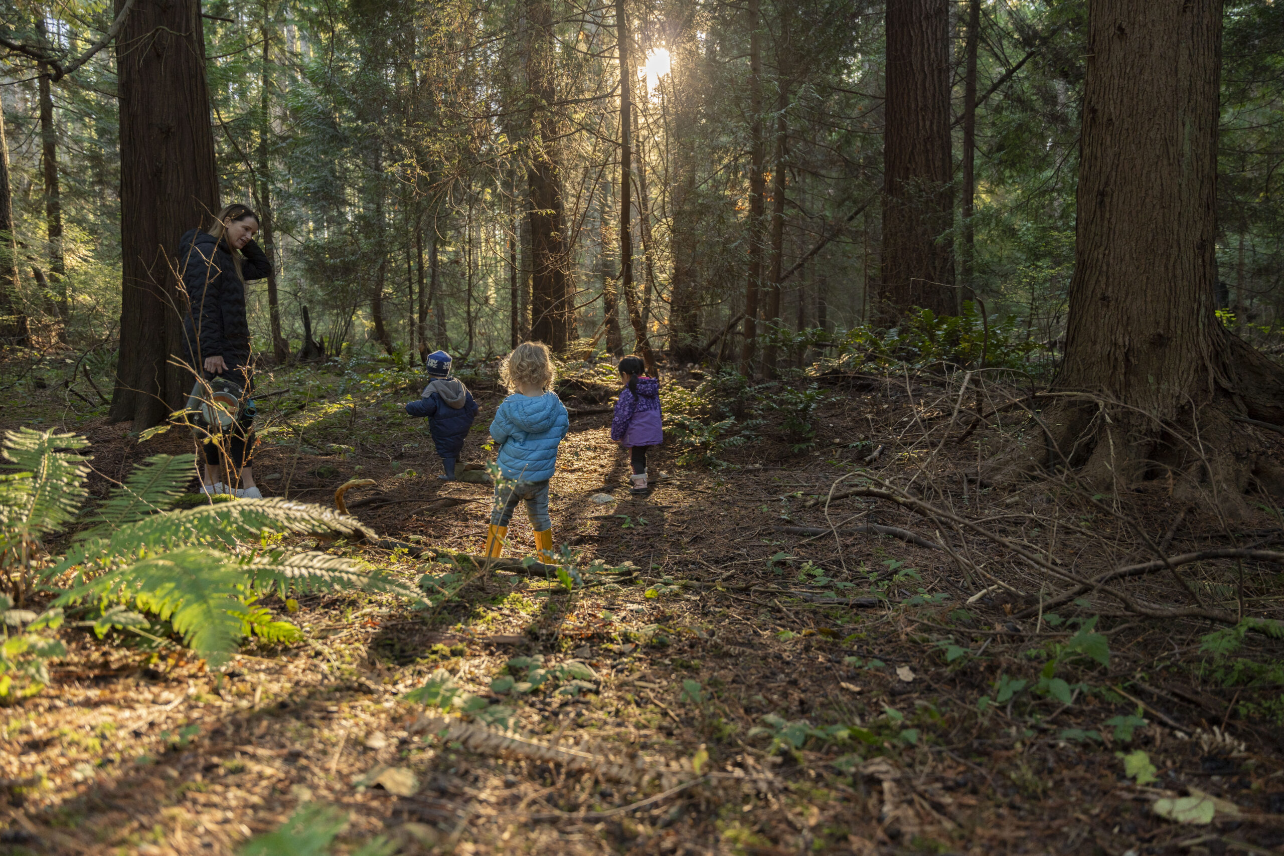 Journeys in Critically Reflective Praxis – A Site for UBC Educators